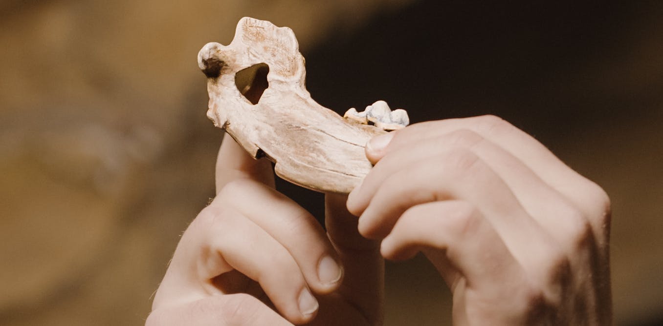 Ancient bones show dogs have been woven into human life for nearly 16,000 years