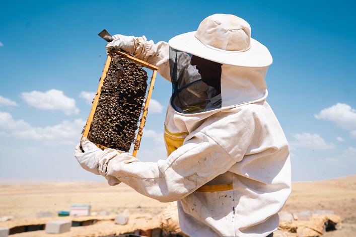 A Ukrainian honey exporter aims to localize production in the EU because of customs barriers.