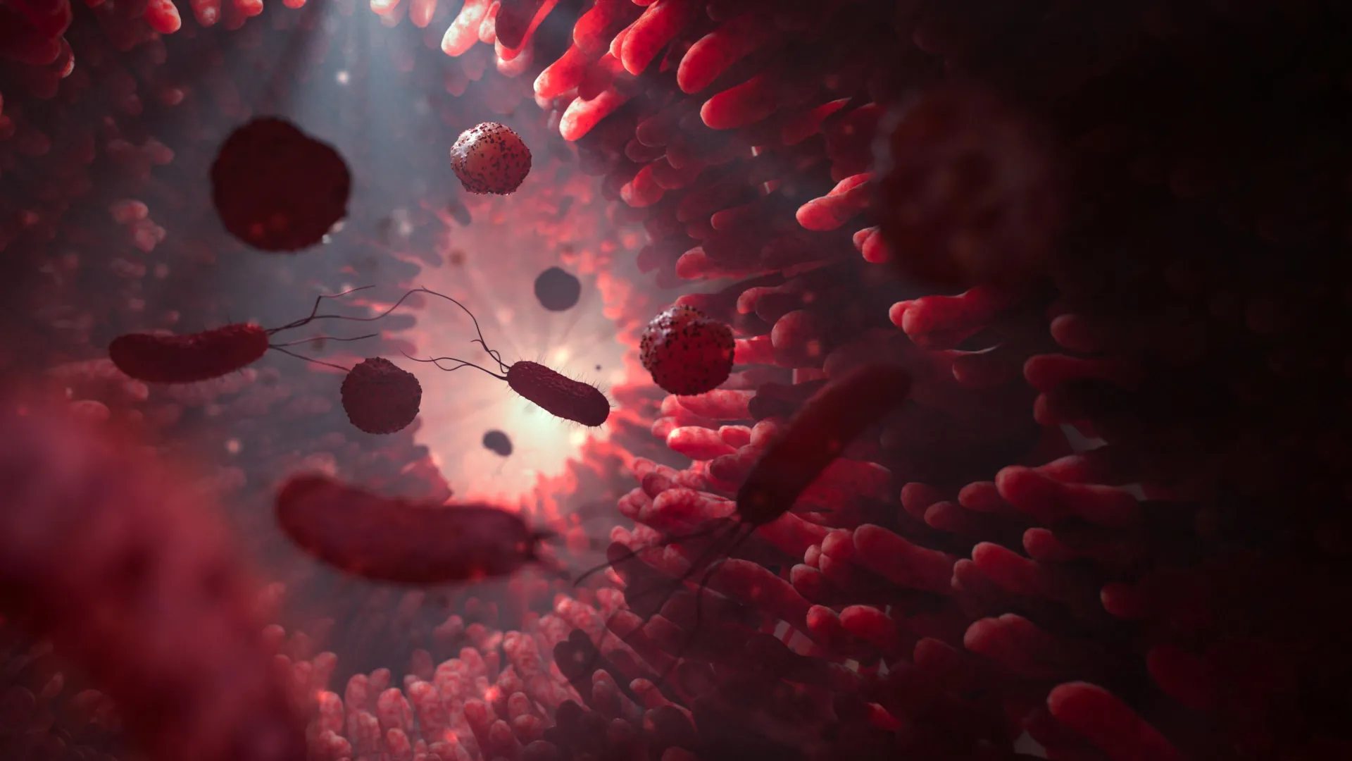 New “super antibiotic” stops deadly gut infection without destroying the microbiome