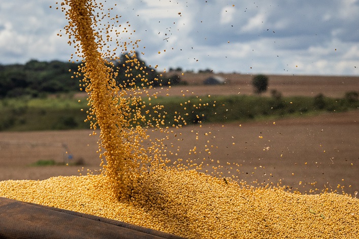 Farmers have lost $180M from the introduction of export duties on soybeans and rapeseed.