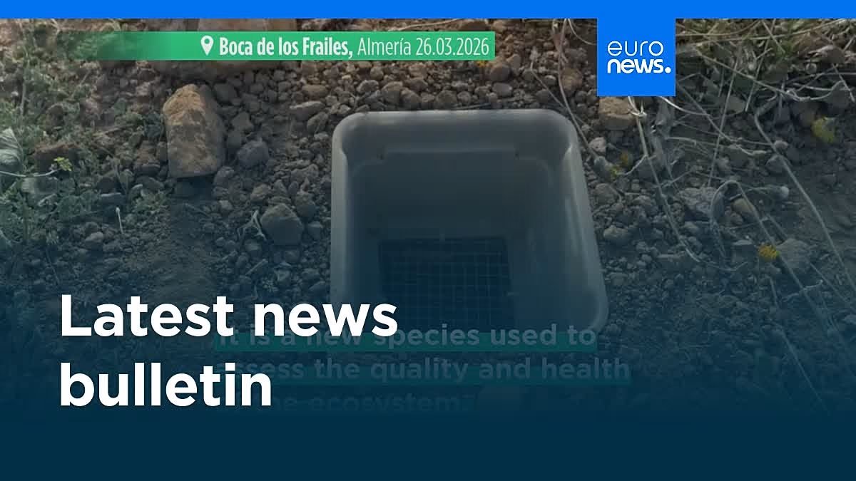 Video. Latest news bulletin | April 9th, 2026 – Evening