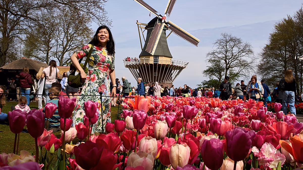 Video. Netherlands Keukenhof draws global visitors for spring display