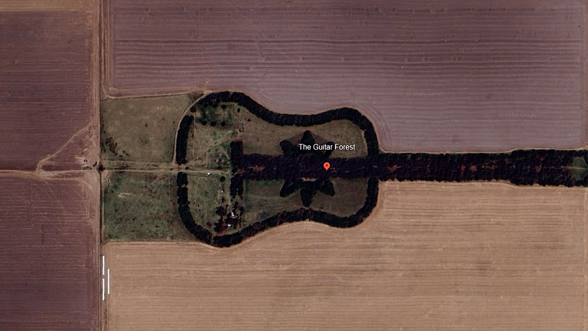 Video. Watch: Giant guitar-shaped forest revealed from the air in Argentina