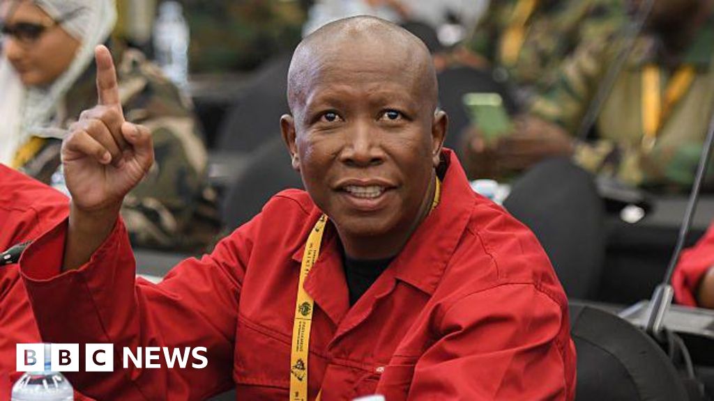 Julius Malema: What next for South African opposition firebrand? – BBC