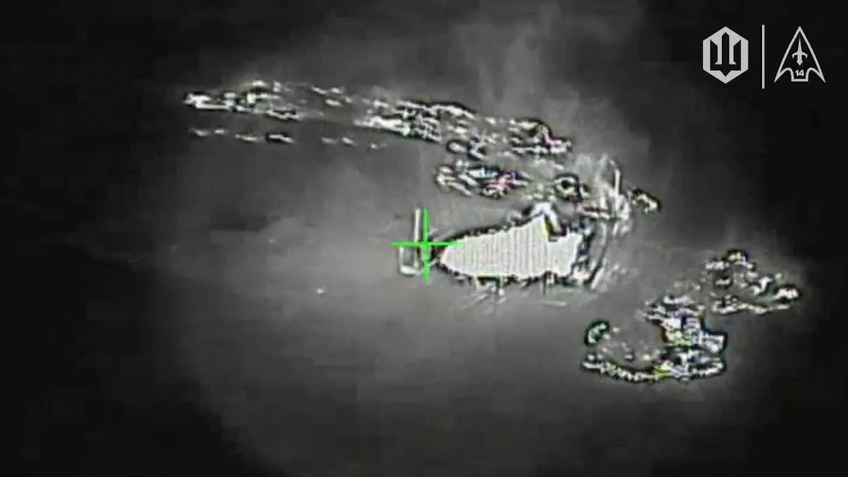 Unmanned Systems Forces hit 1,483 enemy targets in 24 hours