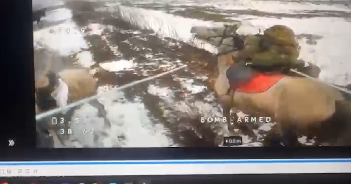 In Donetsk, Ukrainian Drone Pilots Target Russians On Horseback