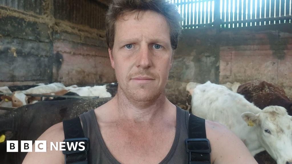 Derbyshire farmer taking action to stop TikTokers hugging cows – BBC