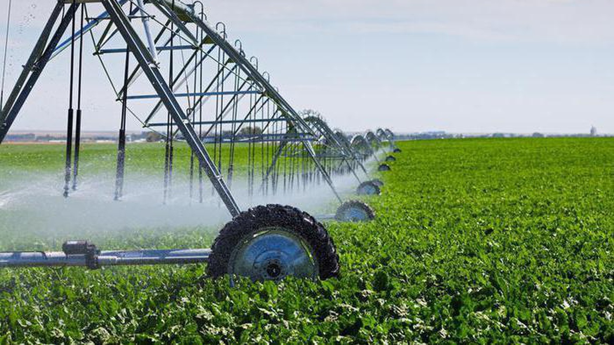 Ukraine and Portugal to expand cooperation in irrigation and processing projects