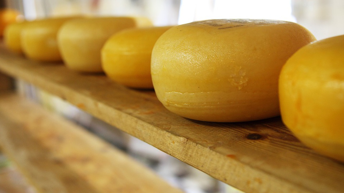 Ukrainian cheese producers expect drop in demand, prepare for export challenges to Middle East – analysts