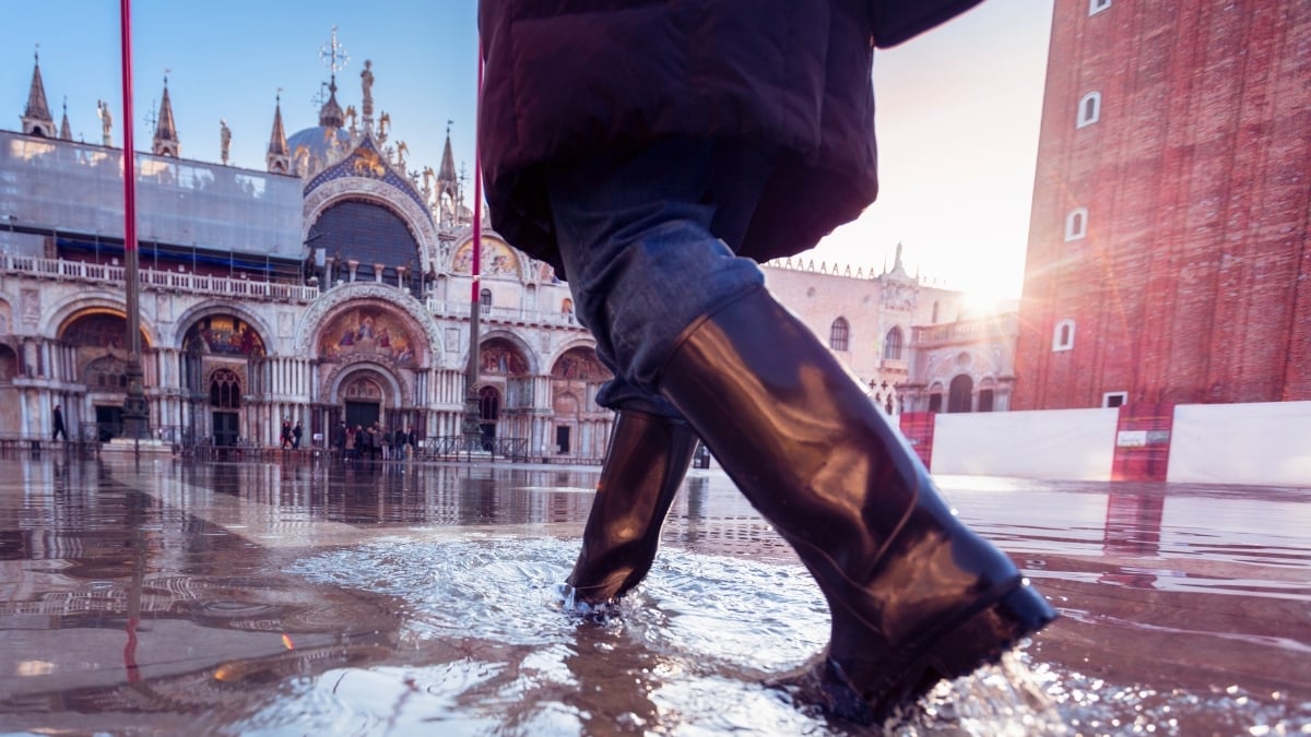 Scientists Reveal 4 Stark Options For Saving Venice From Rising Seas : ScienceAlert