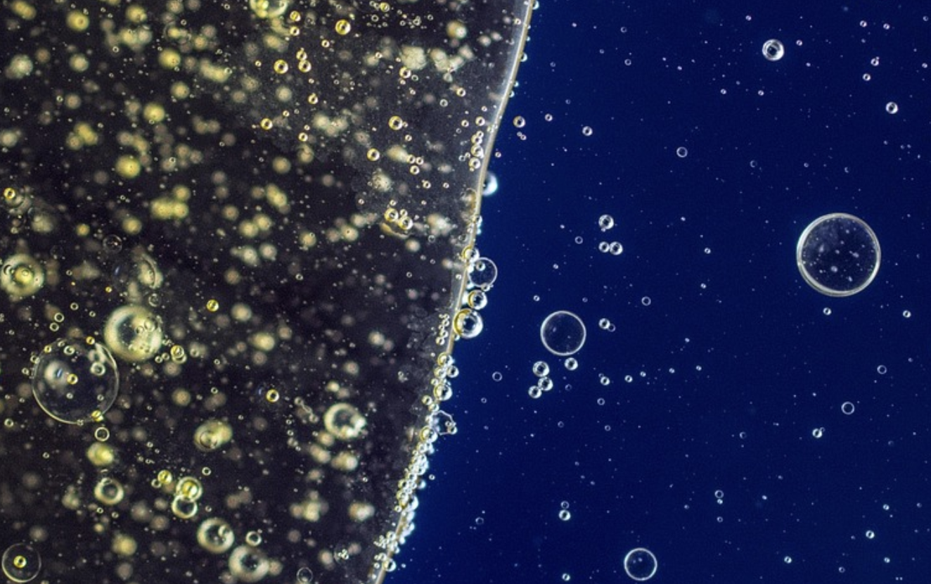 A New Display in Antigen Presentation is Revealed