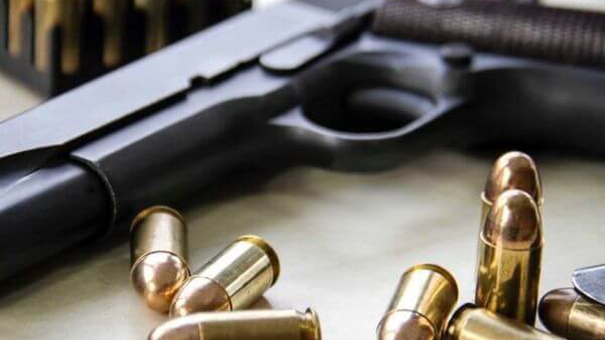 Police rules on use of weapons to protect people must be reviewed