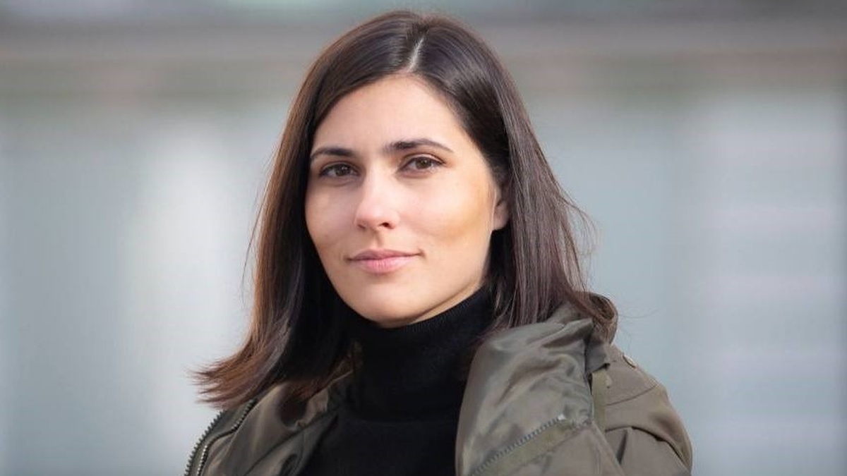 Danish model for purchasing weapons for Ukraine under threat due to VAT, import duties – MP