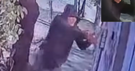 Mexican environmentalist survives assassination attempt caught on video: “I told the hitman ‘good morning'”