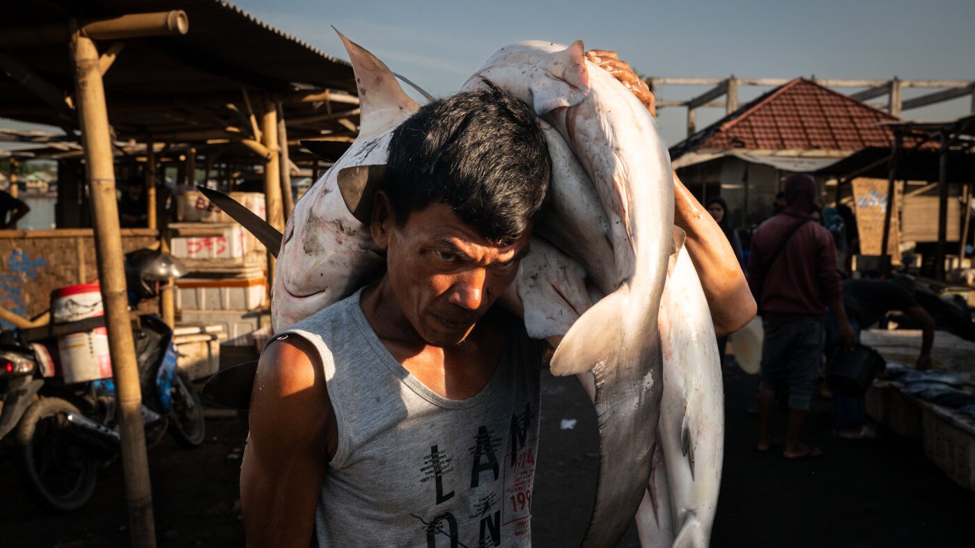 The crisis of overfishing in Southeast Asia : The Picture Show : NPR