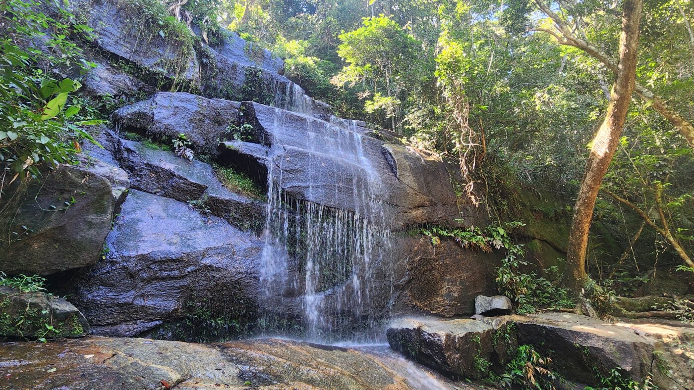 Rio offers trekking and swimming in a vast urban rain forest : NPR