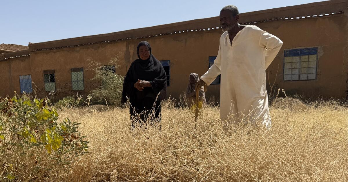 War has turned this African capital into a city of graves