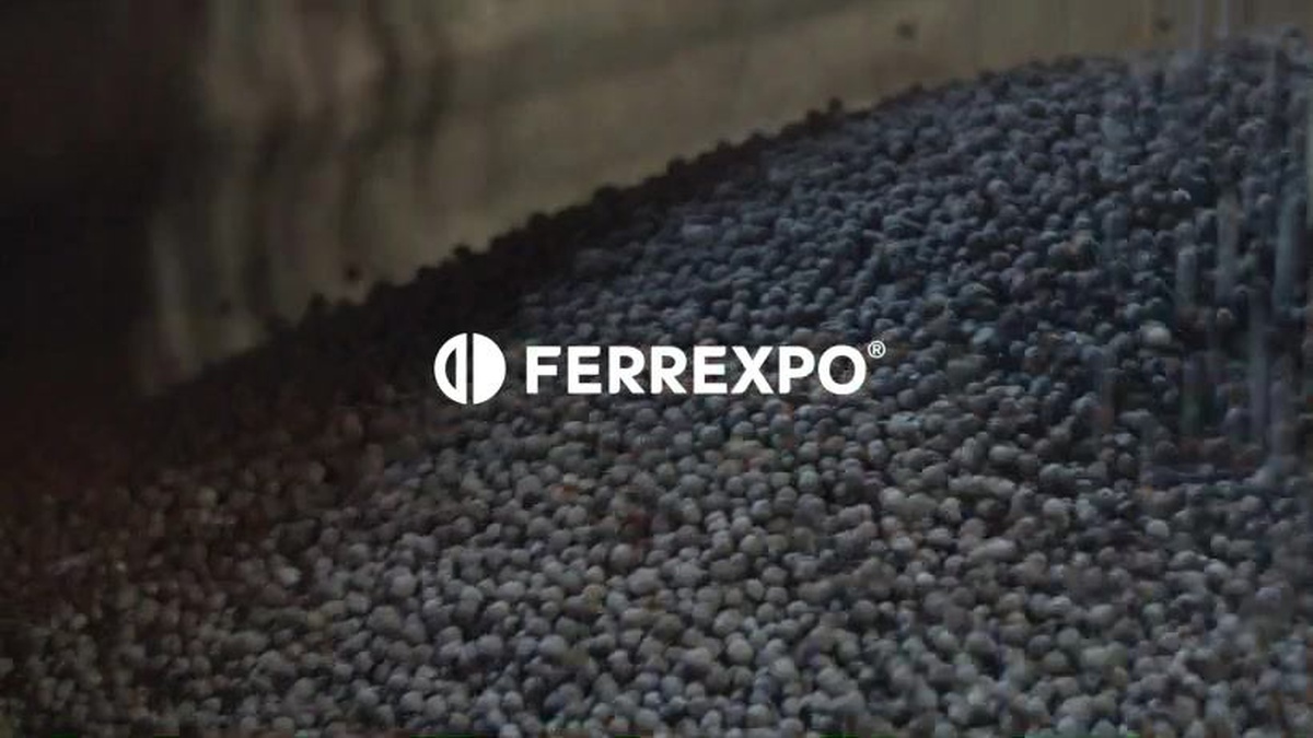 Ferrexpo seeks to initiate additional share placement of at least $100 mln before May, share price 10.5% down