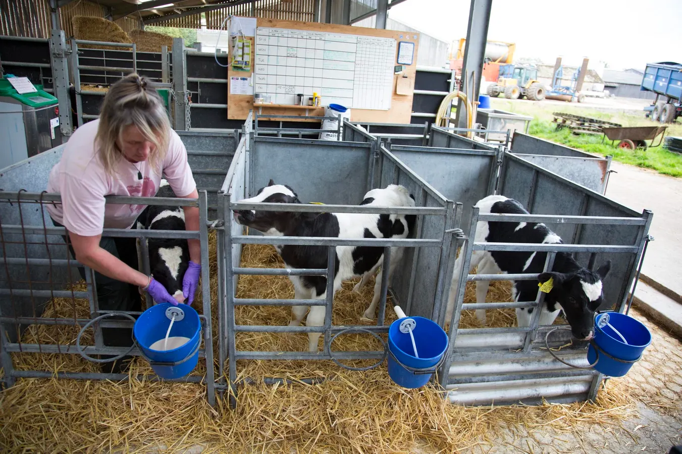 Colostrum Has Been Taking Over Social Media—But What Does The Science Say?