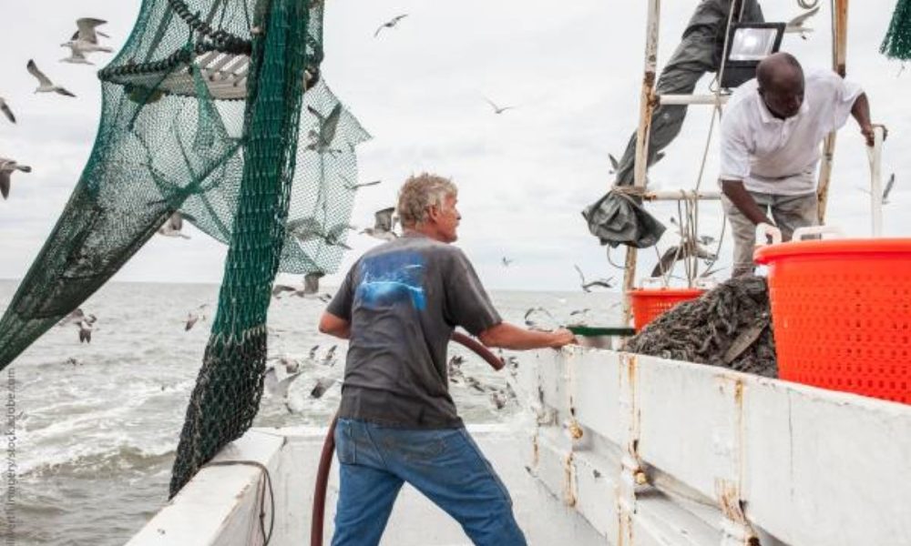 Commission publishes first annual social report on fisheries, aquaculture and fish processing