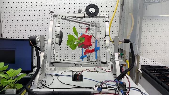 Space Plants Could Be Future Pharmacies for Astronauts