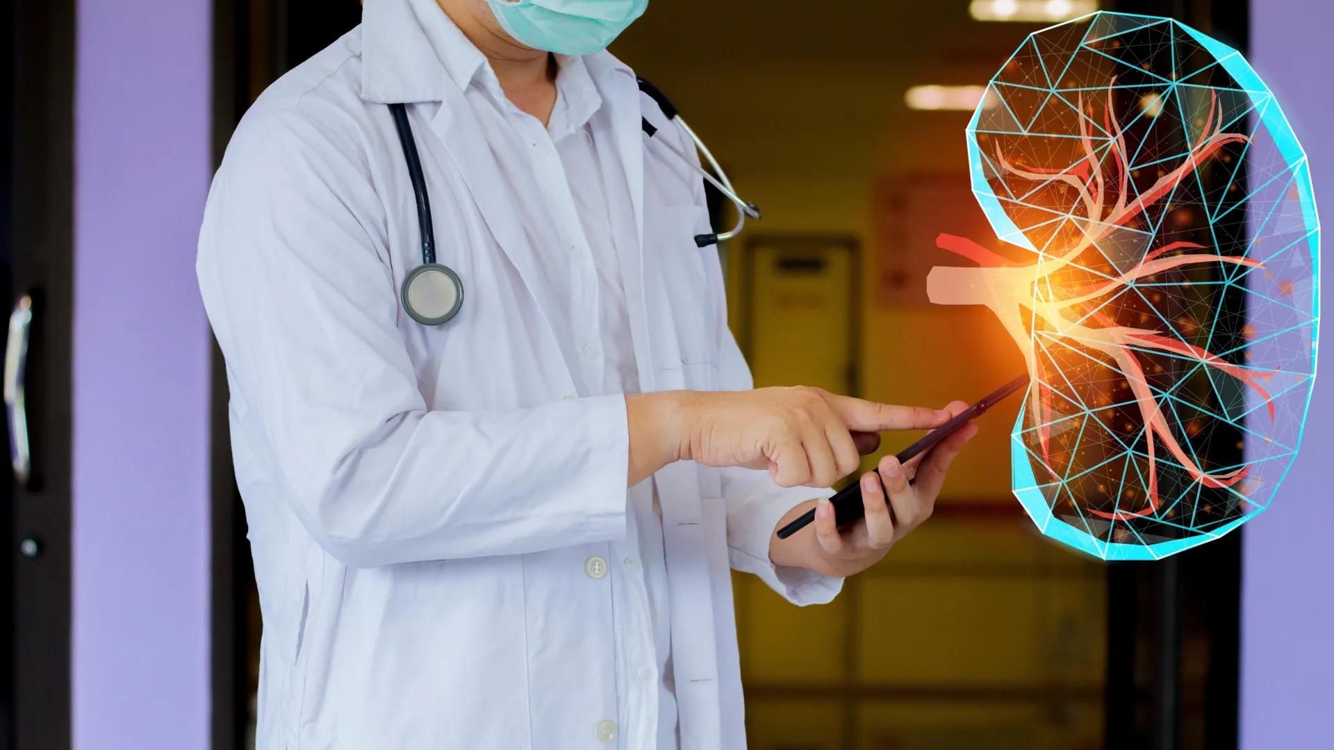 A surprising discovery reveals the kidney has a secret backup system