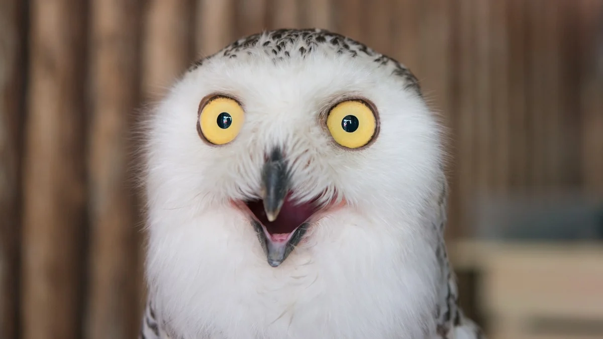 It Turns Out Birds Masturbate Too, And Evolution May Explain Why : ScienceAlert