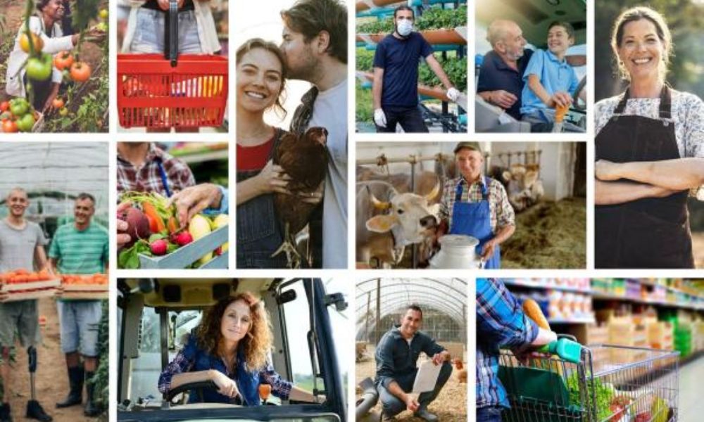 Farmers, fair markets and consumers: new report highlights the role of EU competition rules in agriculture
