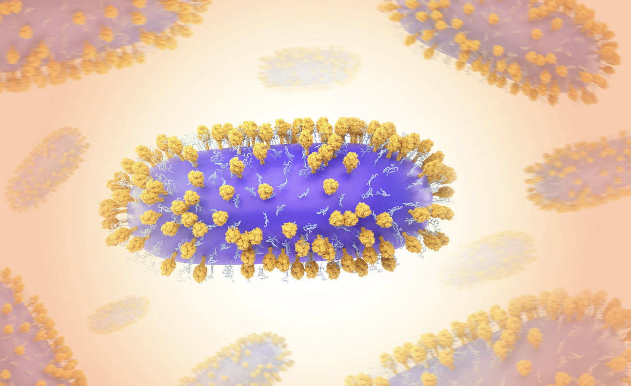 mRNA Vaccines: Safe, Effective, and Full of Possibilities