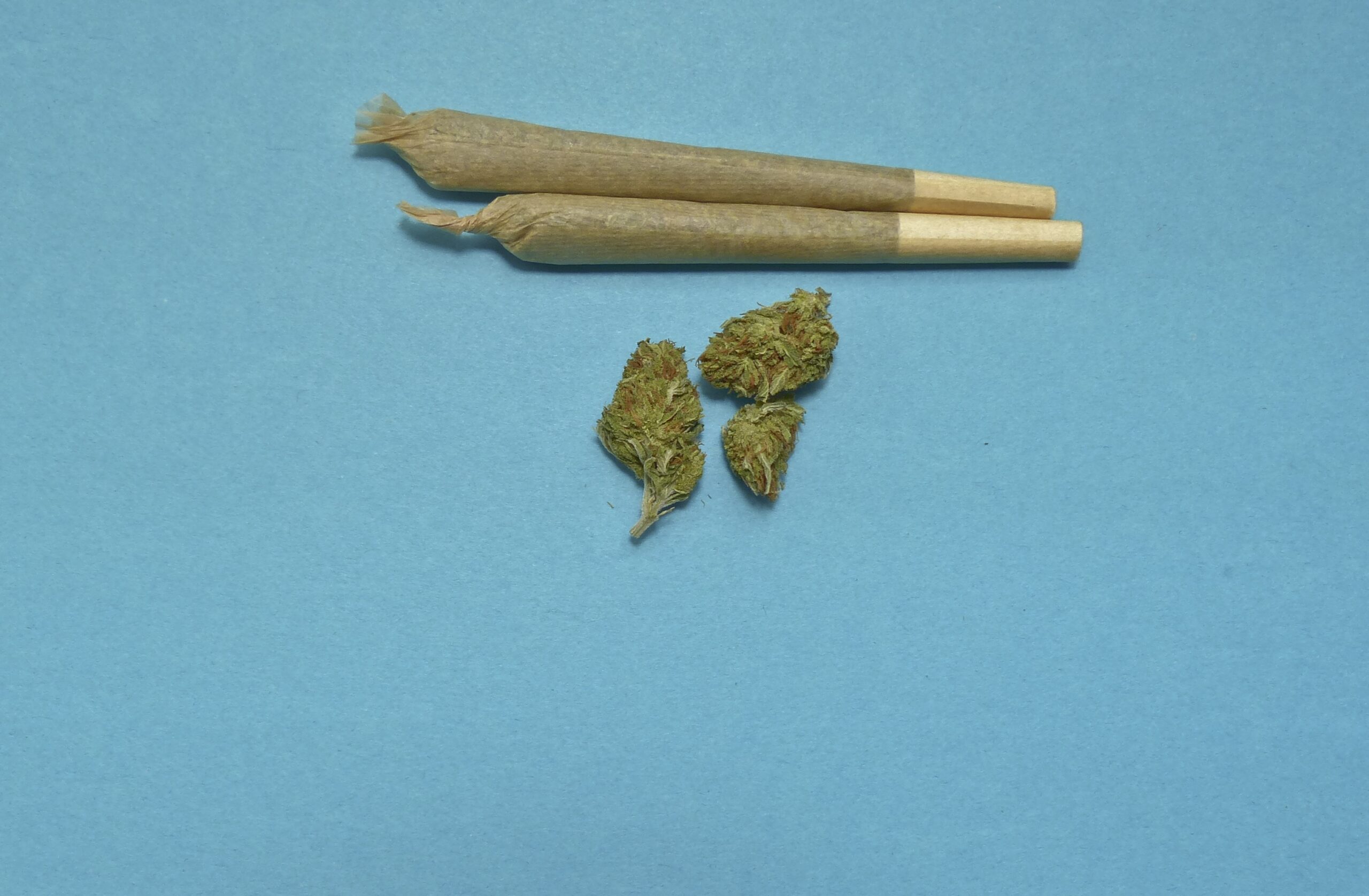 Inhaled cannabis replaces opioids for back pain study