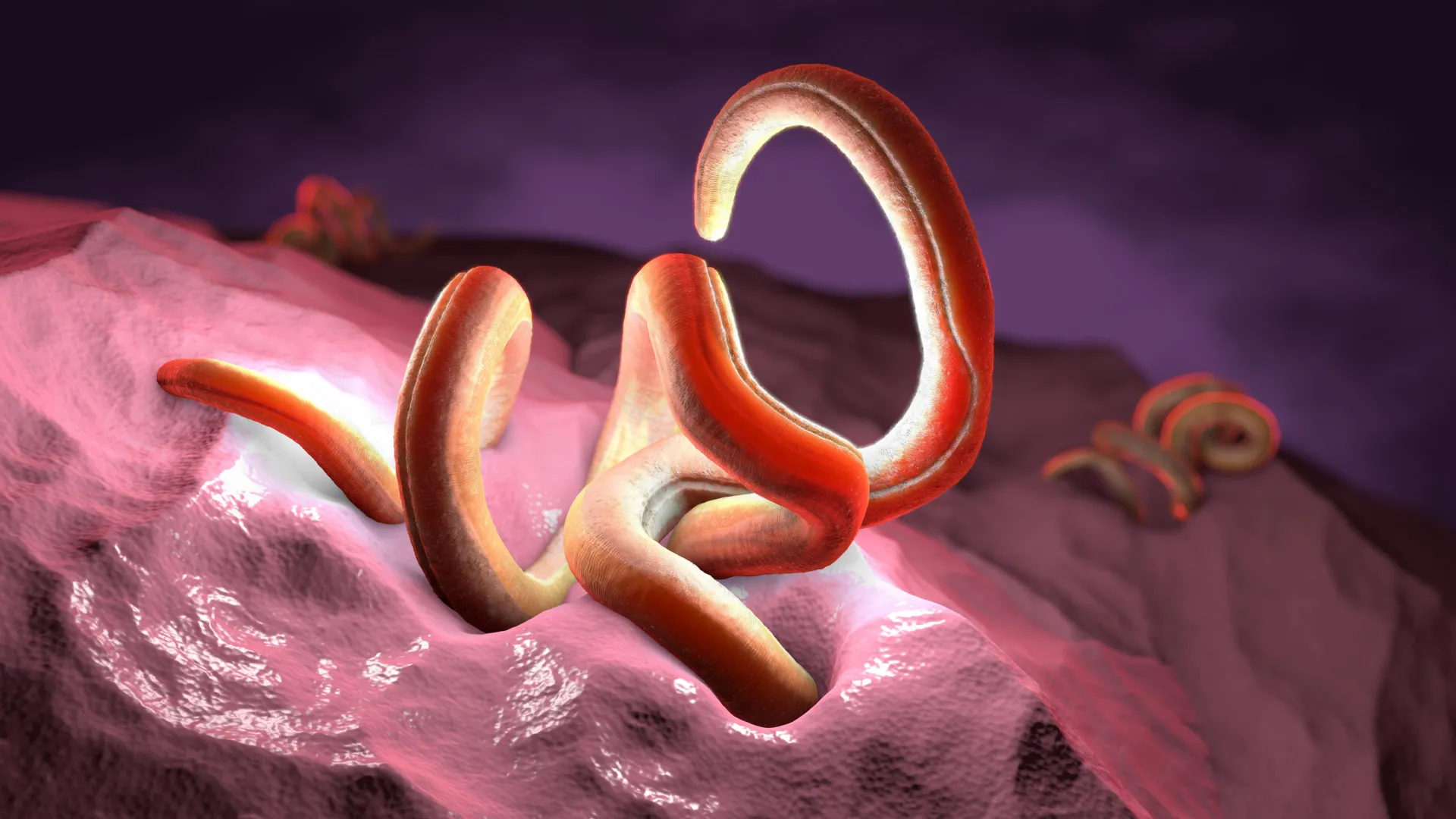 Scientists discover the one nutrient beneficial parasites can’t live without